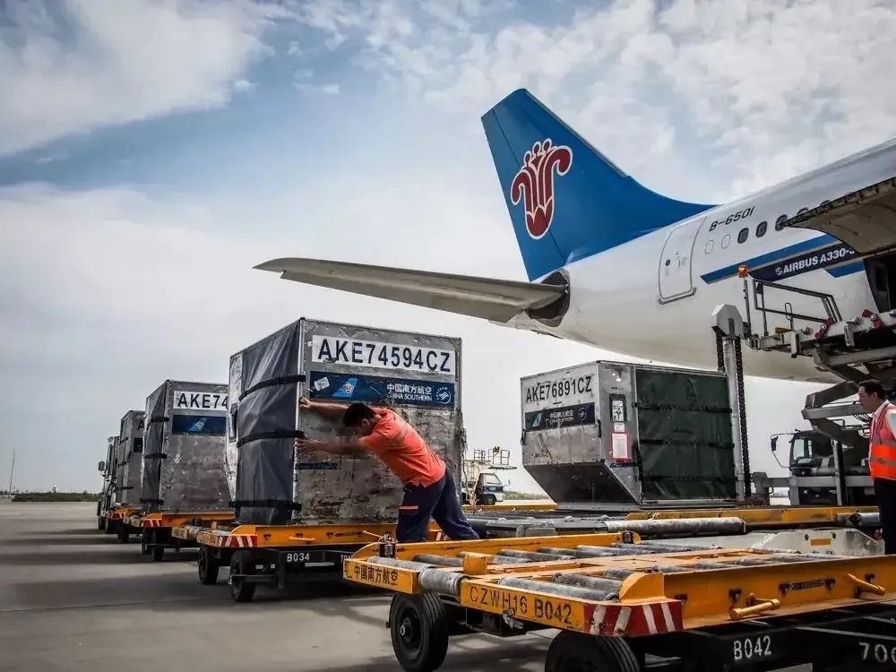 1655435857139853.jpg 3.jpg